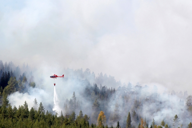 İsveç'te orman yangınları kontrol altına alınamıyor